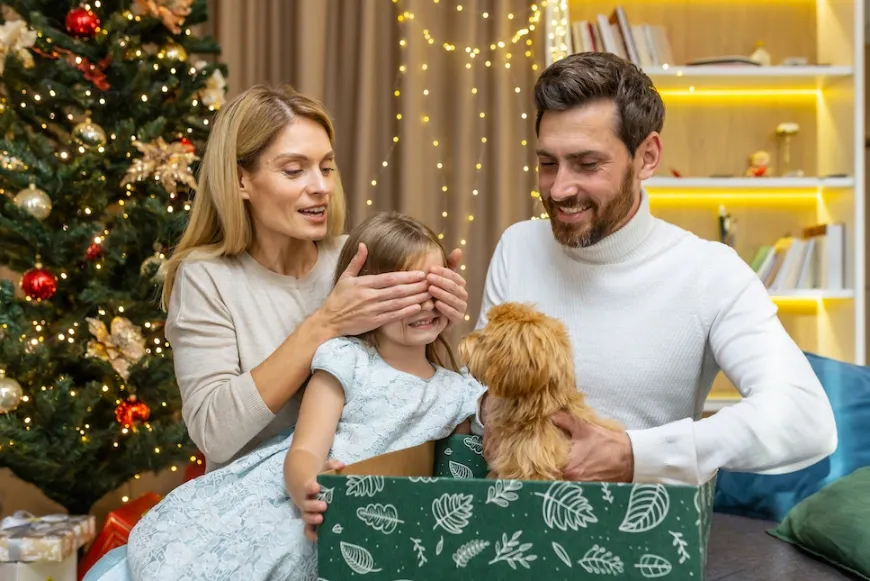Mon chien aboie sans cesse : que faire ?