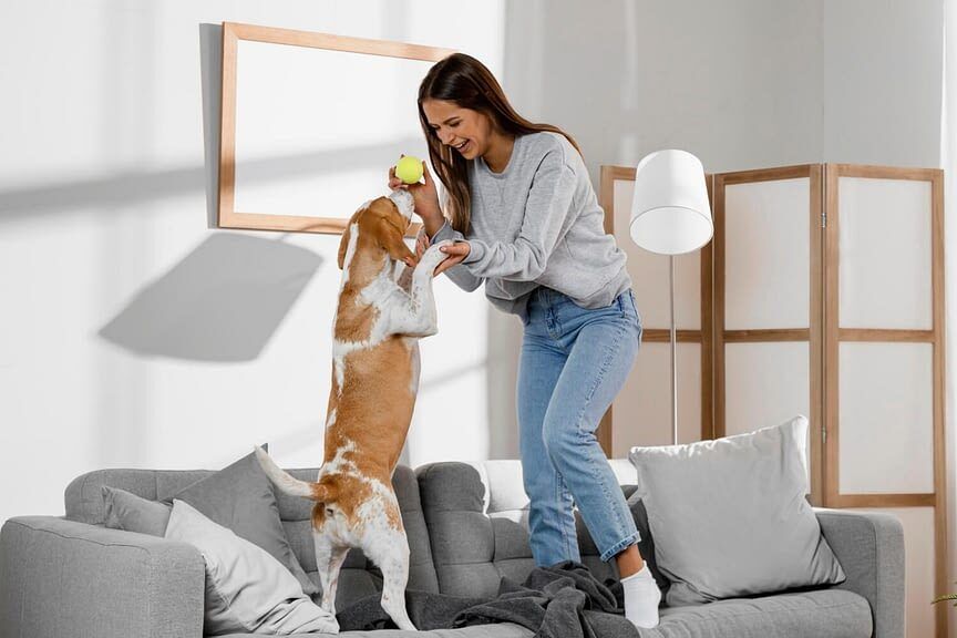 Les étapes pour accueillir un chien