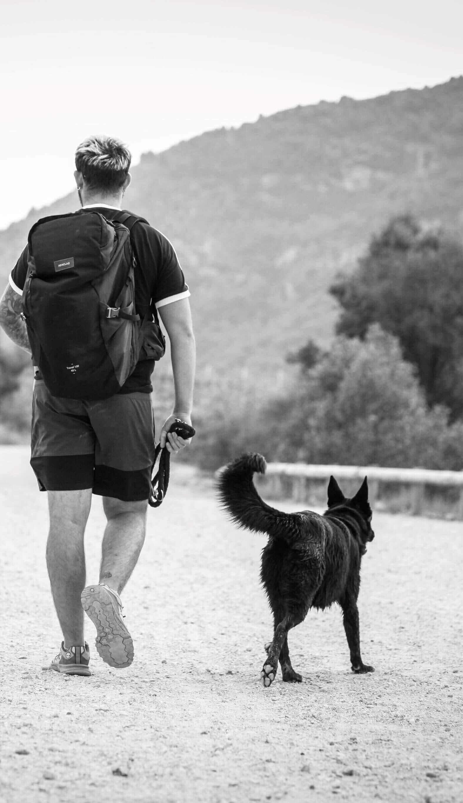 COMMENT SE PASSE UN BILAN COMPORTEMENTAL CANIN ?