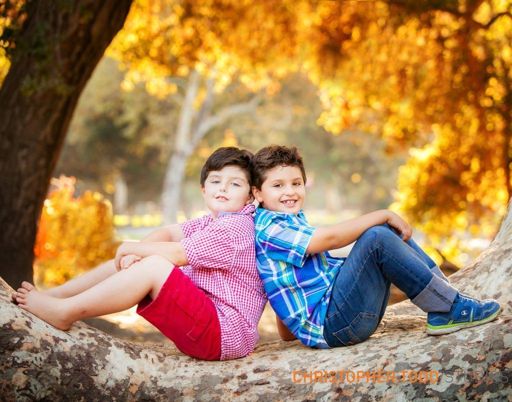Two young brothers are sitting back to back on a tree trunk.