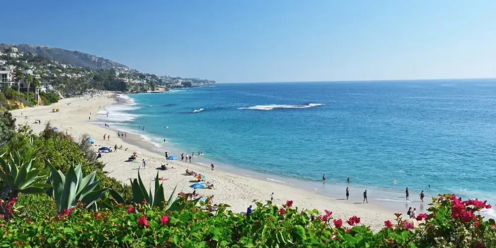 A beach with a lot of yellow flowers and a boat in the distance.