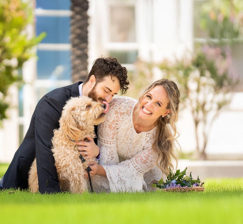 A bride and groom are lying in the grass with their dog outside the Santa Ana Courthouse.