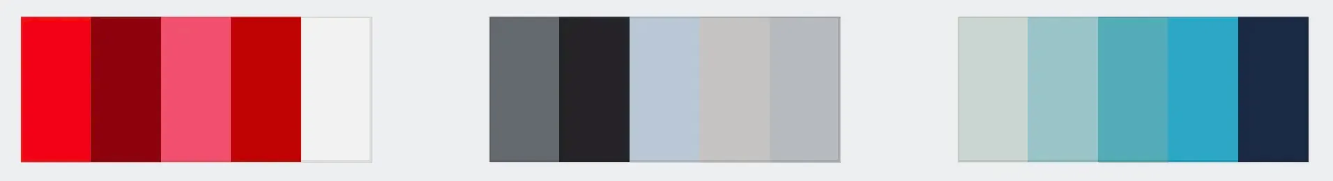 Color palette for Family Photos in the snow