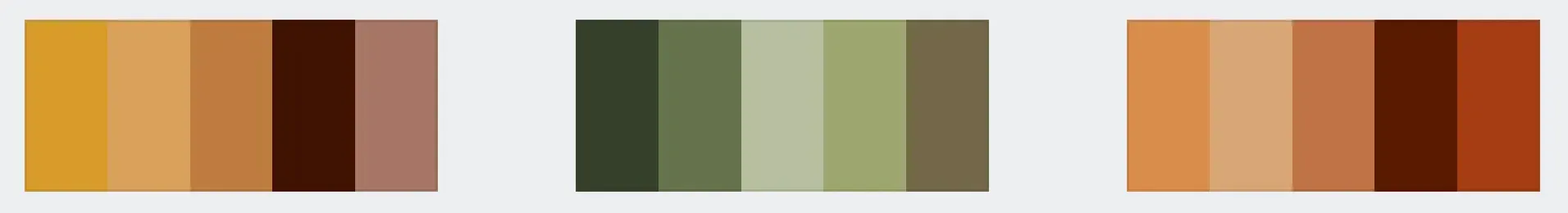 Earthtone color schemes for Family Photos