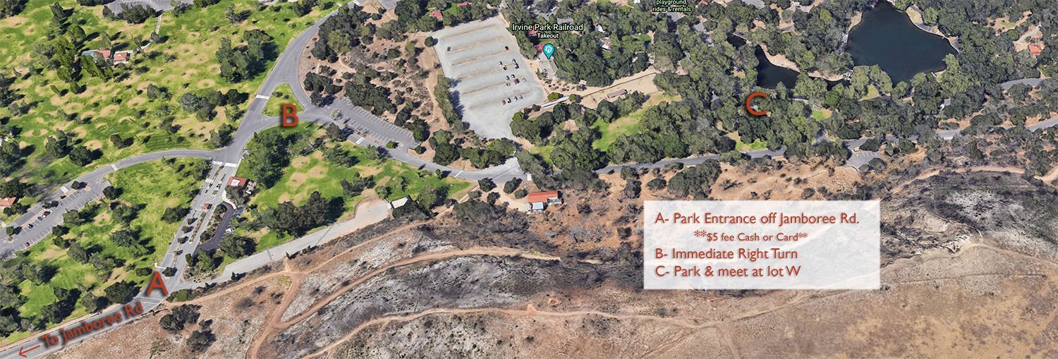 An aerial view of at Irvine Regional Park. with trees and a road.
