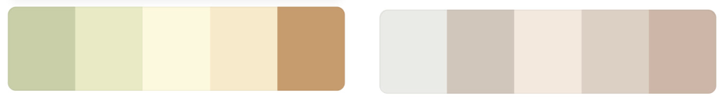 A palette of different shades of brown and white stripes on a white background.