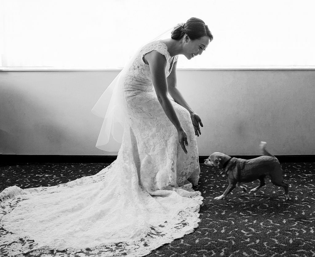 A bride in a wedding dress is playing with a small dog in Fullerton Arboretum