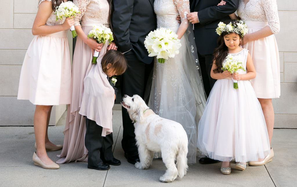 A bride and groom pose with their wedding party and a dog