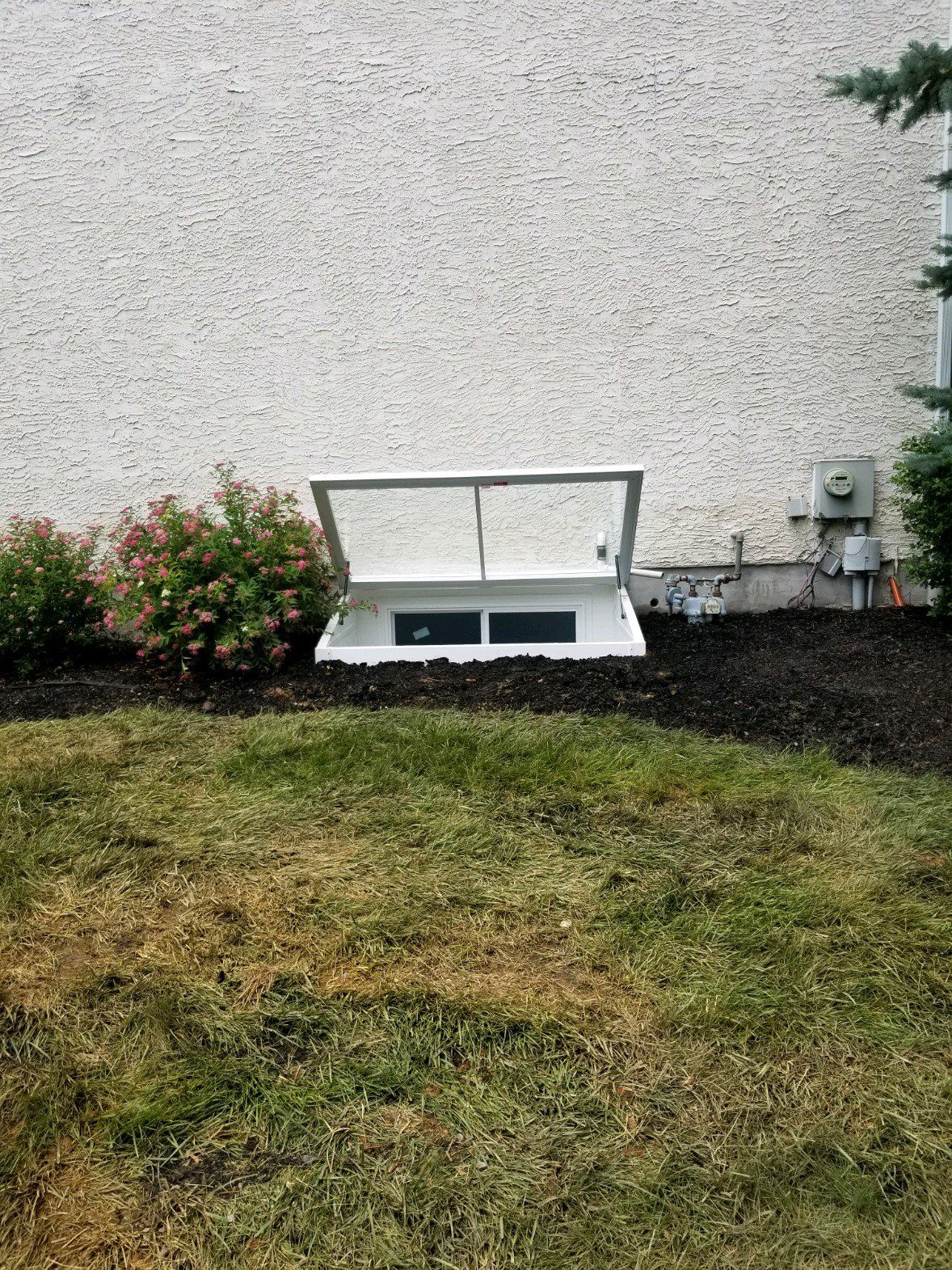 A white window well cover over a basement window on a beige stucco house foundation, surrounded by mulch and grass.
