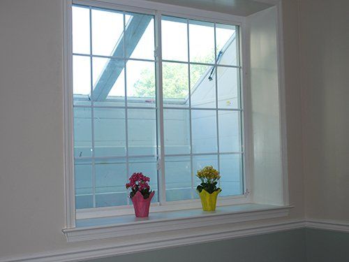 A white-framed window with a grid pattern looks out onto a light well, with two small potted plants on the windowsill.