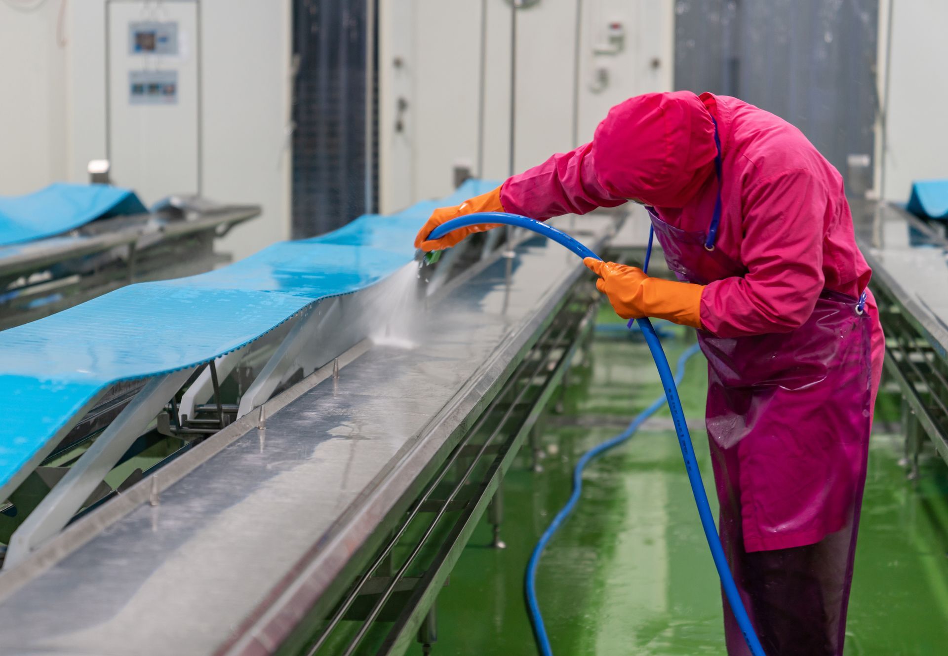 A person in pink protective gear sprays down a conveyor belt in a processing facility. A person in pink protective gear sprays down a conveyor belt in a processing facility.