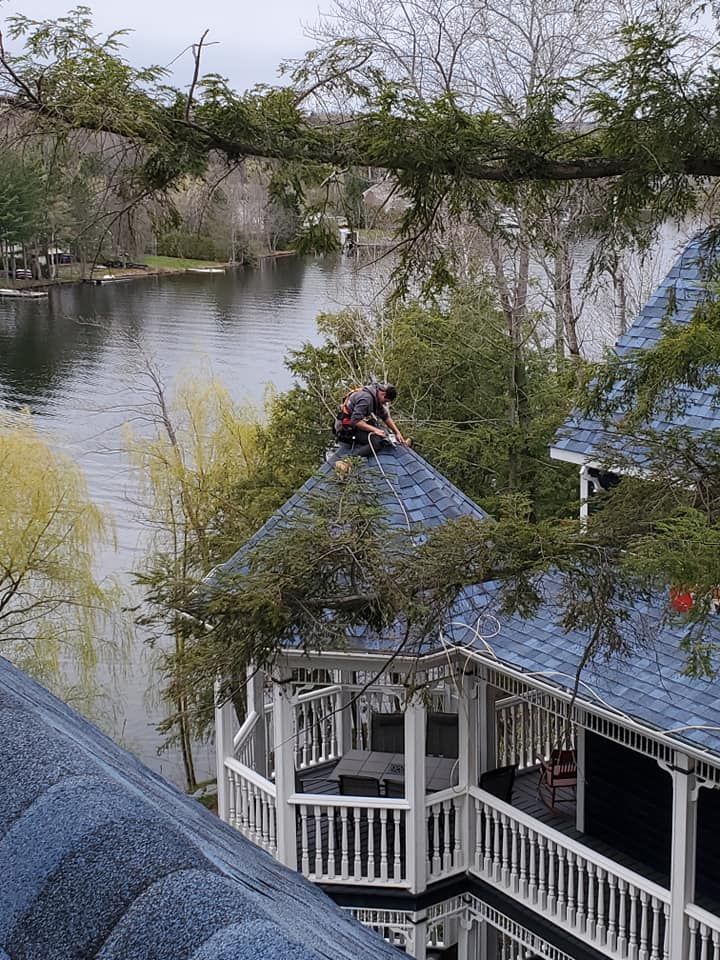 Une personne travaille sur un toit de bardeaux bleus au bord d'un lac, encadrée par des branches d'arbres.