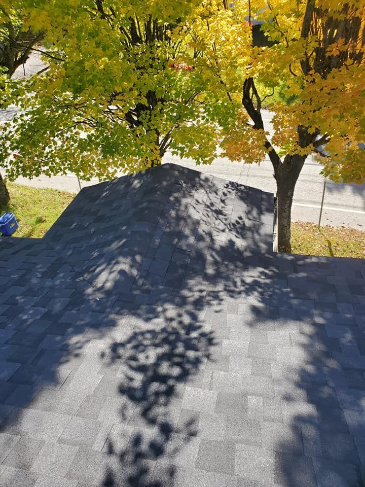 Toit en bardeaux d'asphalte avec les ombres d'un arbre aux feuilles jaunes et vertes, lumière vive du soleil.