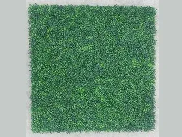 A square of green grass on a white surface.