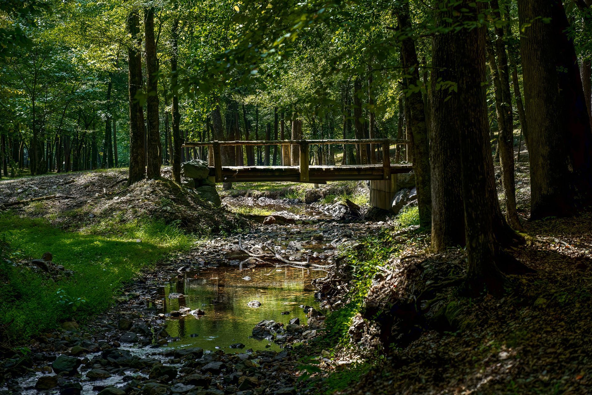 A wooden footbridge crosses a rocky, shallow stream in a sunlit, green forest.