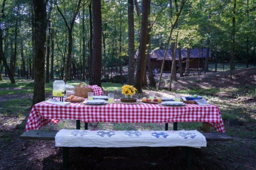 A picnic table covered in a red-and-white checkered cloth, set with drinks and snacks in a sunny, wooded park.