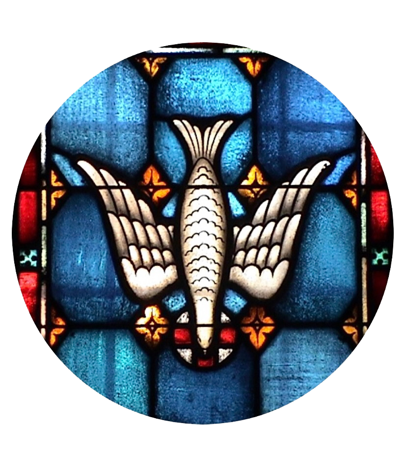 Stained glass window: White dove with outstretched wings against a blue background.