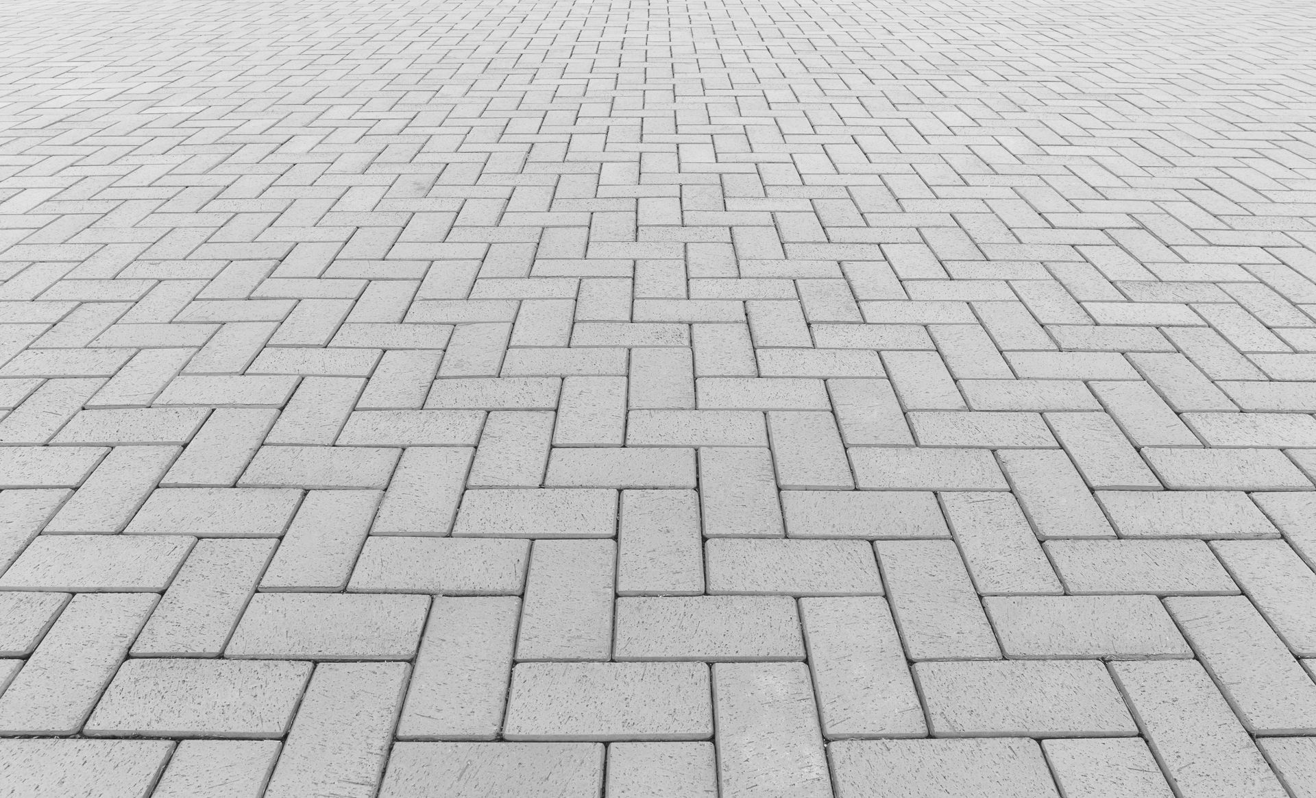 A black and white photo of a brick walkway with a herringbone pattern.