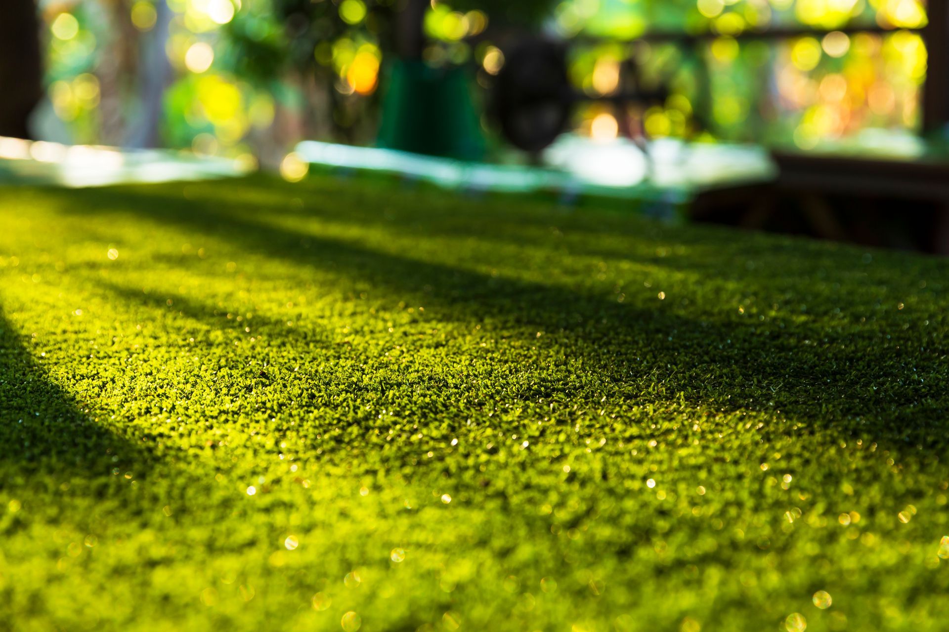 A close up of a lush green lawn with trees in the background.