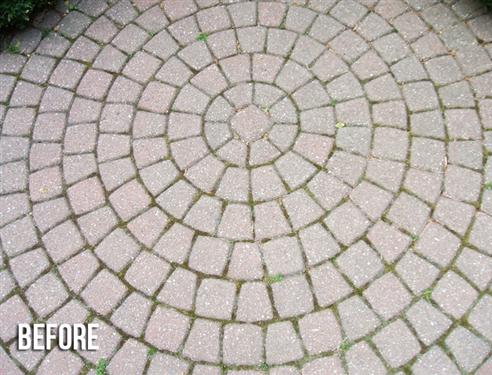 Circular brick patio before cleaning, showing red bricks and green weed growth in the joints.