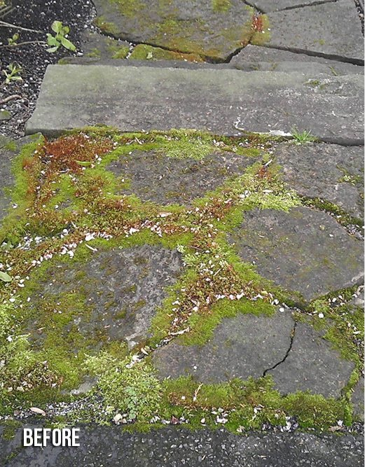 Moss growing between cracked gray stone paving stones.