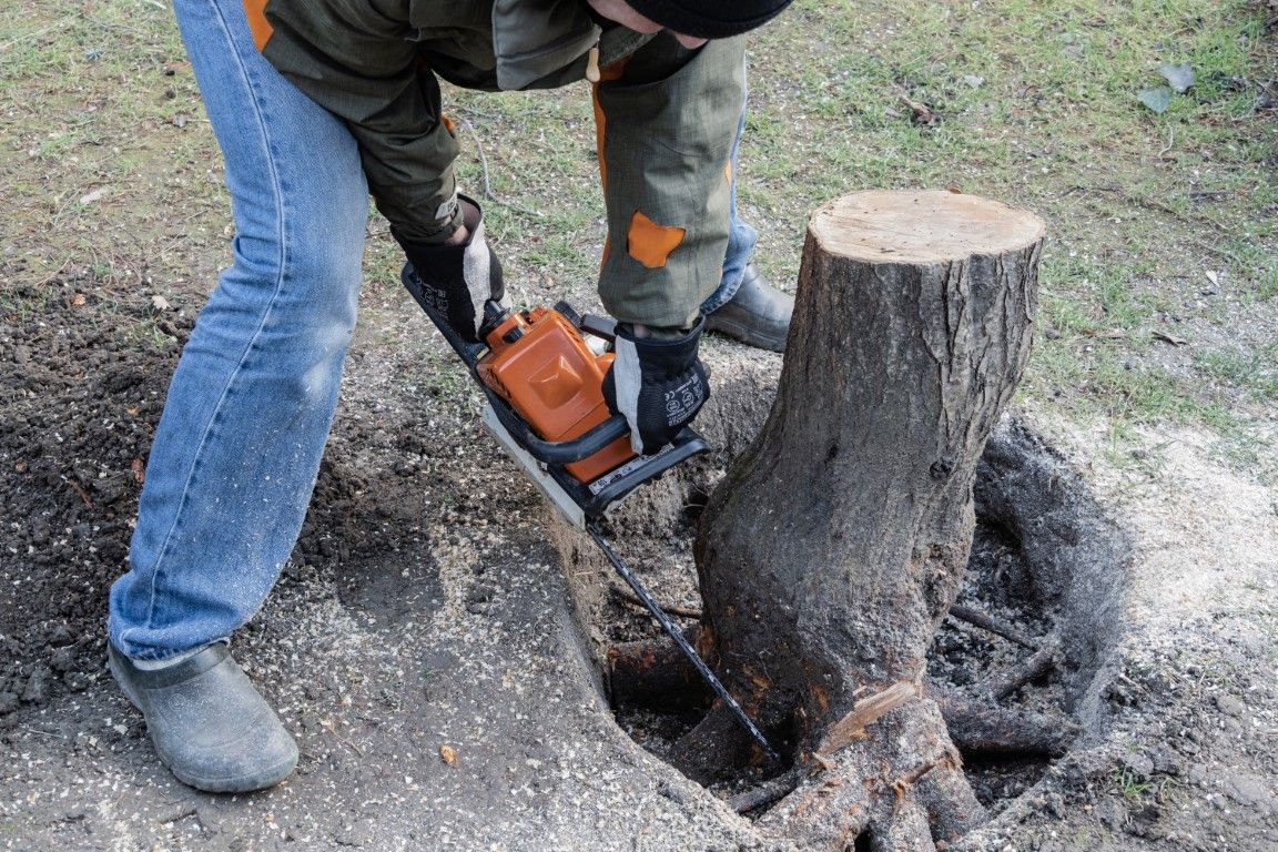 An image of Stump Grinding & Removal Services in Beaumont CA