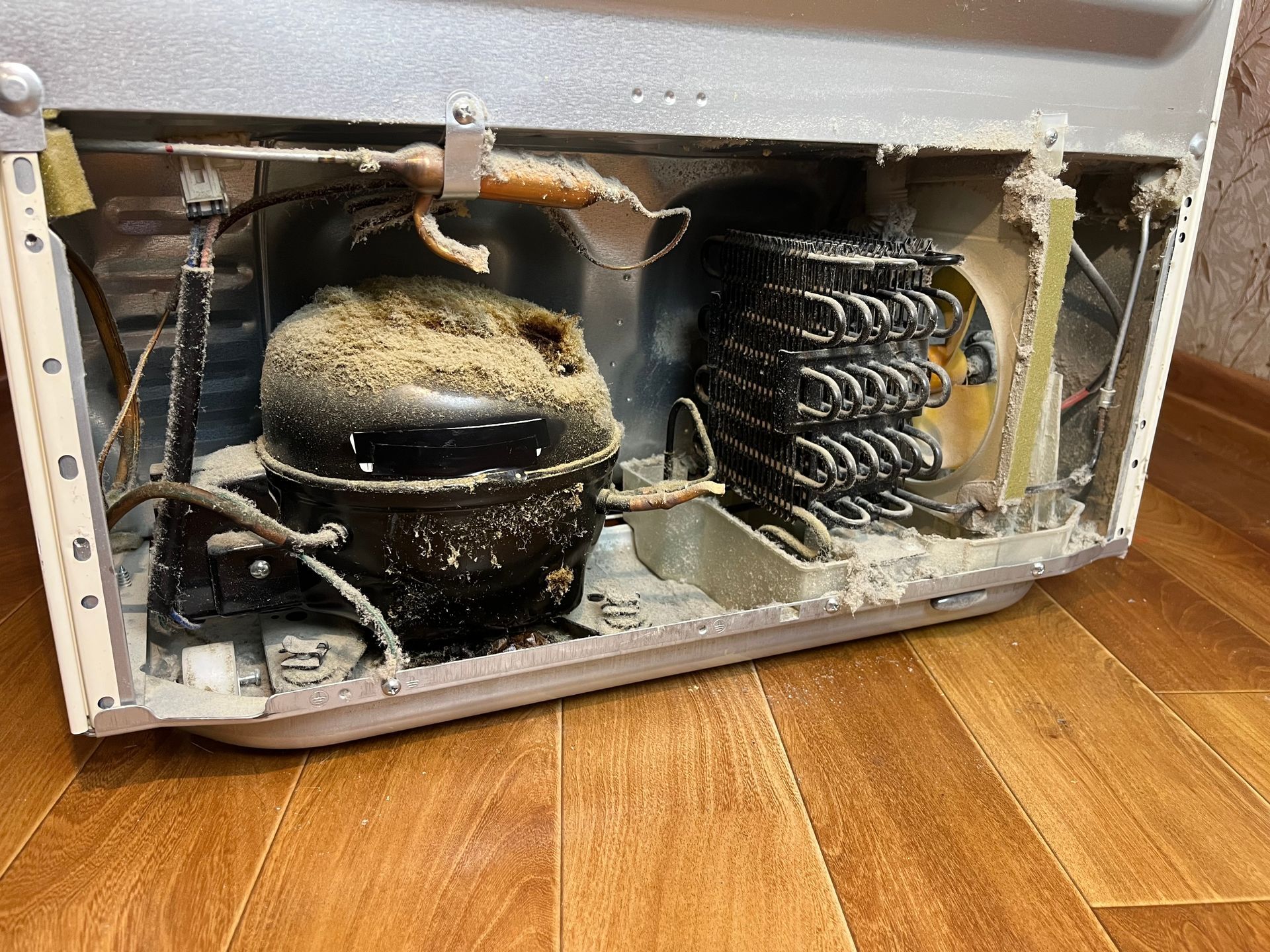 Open appliance with dusty compressor and coils exposed inside metal housing