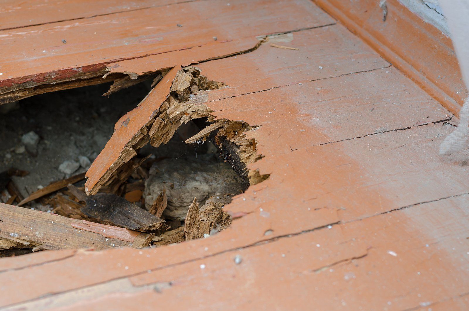 Home Termite Inspections in Branson, MO Home Termite Inspections in Branson, MO