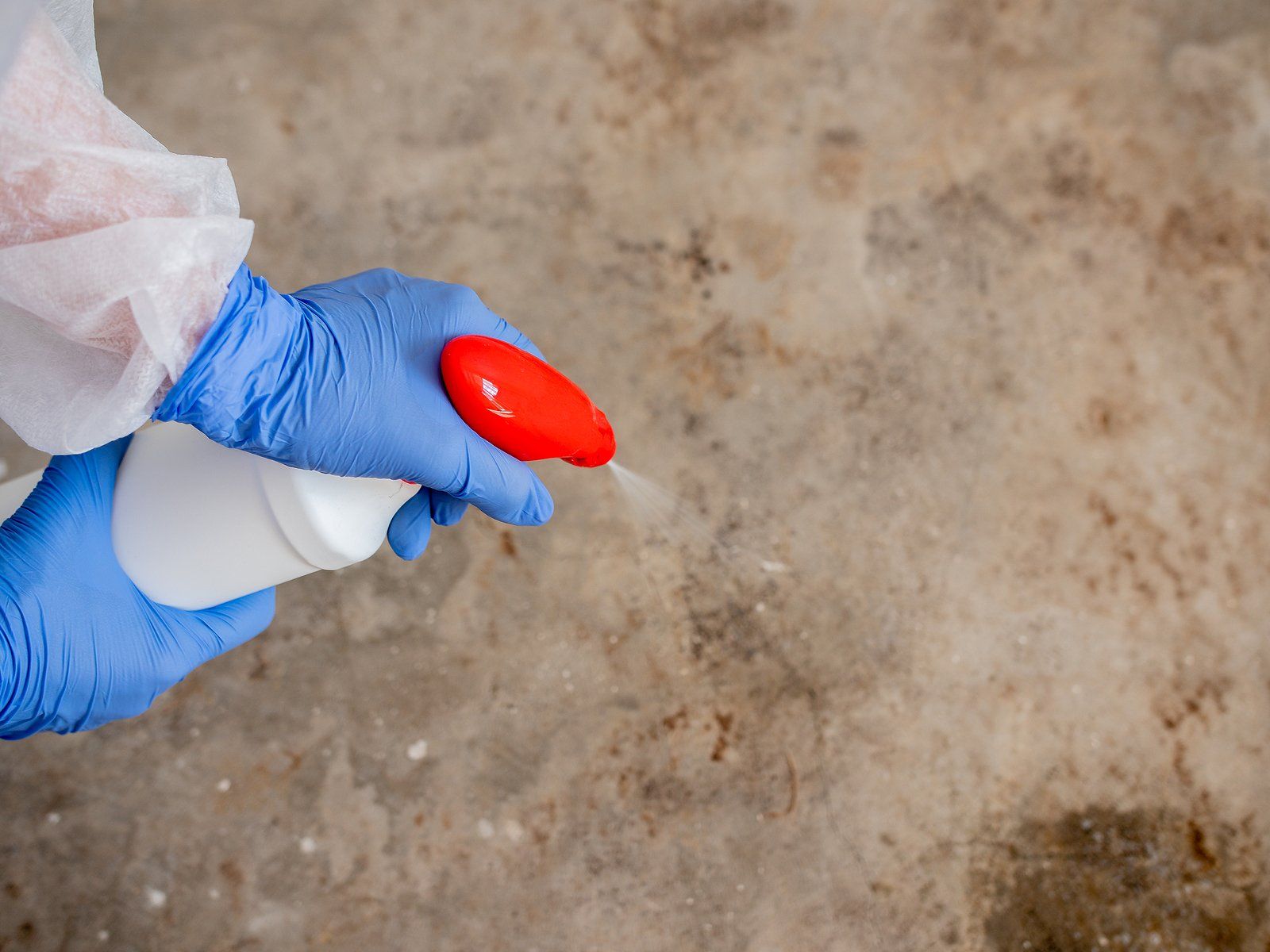 Water Testing Companies Near You