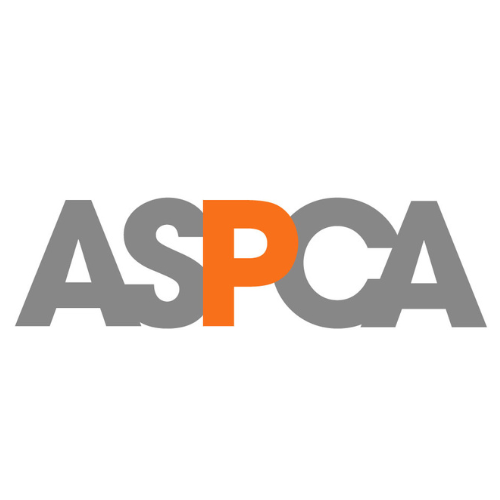 The logo for aspca is gray and orange on a white background.