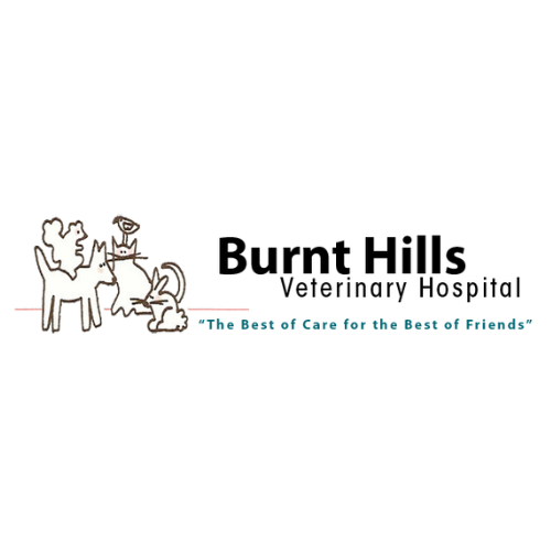 Logo Burnt Hills Veterinary Hospital.