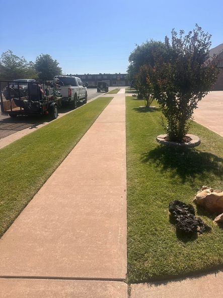 Sunny apartment walkway with parked cars, grass, and a tree along the path