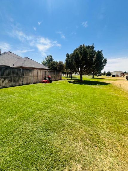 Wide green suburban lawn beside a wooden fence, with a red mower and trees under a blue sky