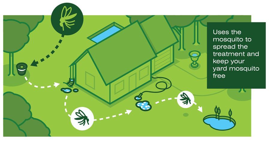 In 2 Care Mosquito Trap System