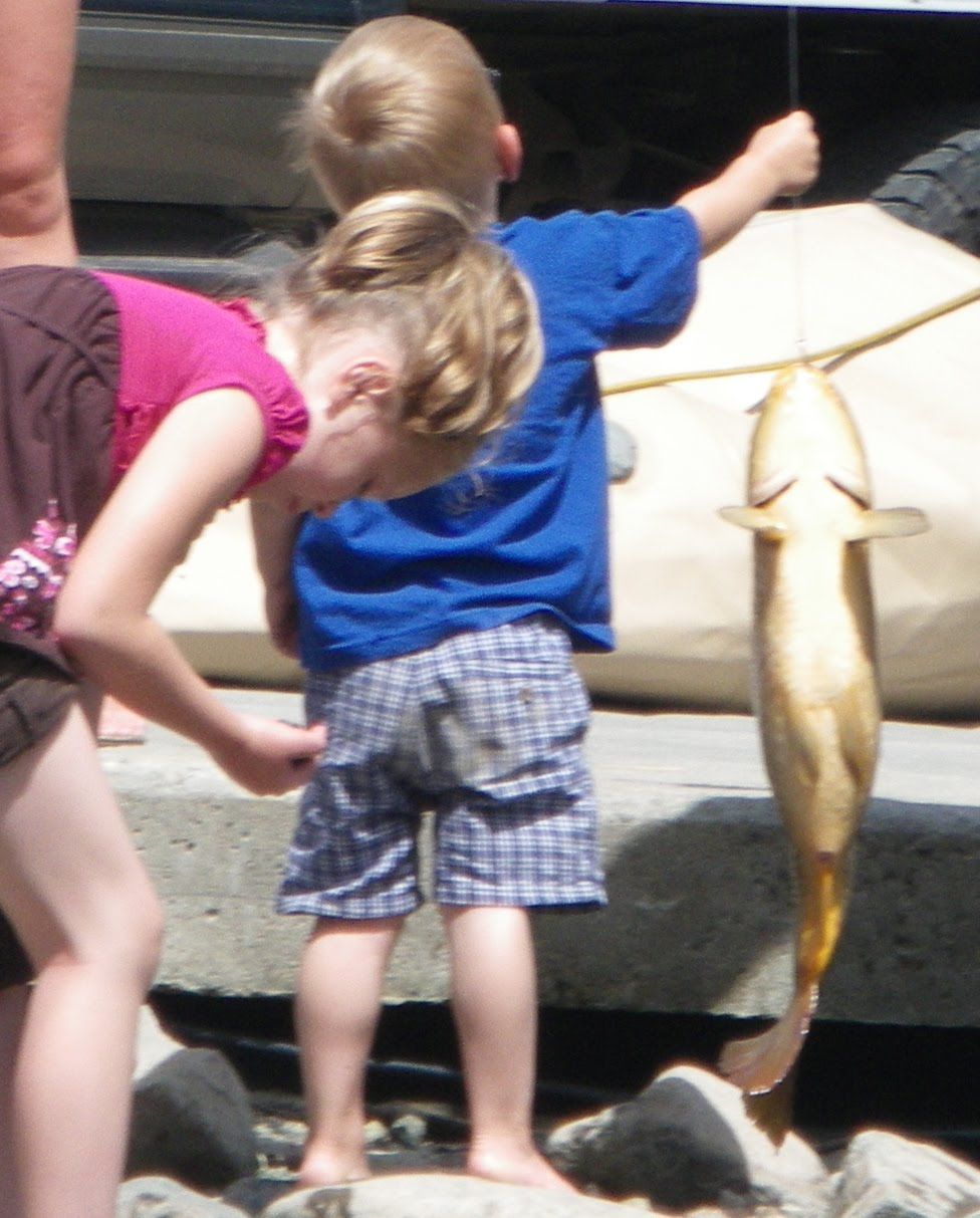 A boy and a girl are looking at a fish