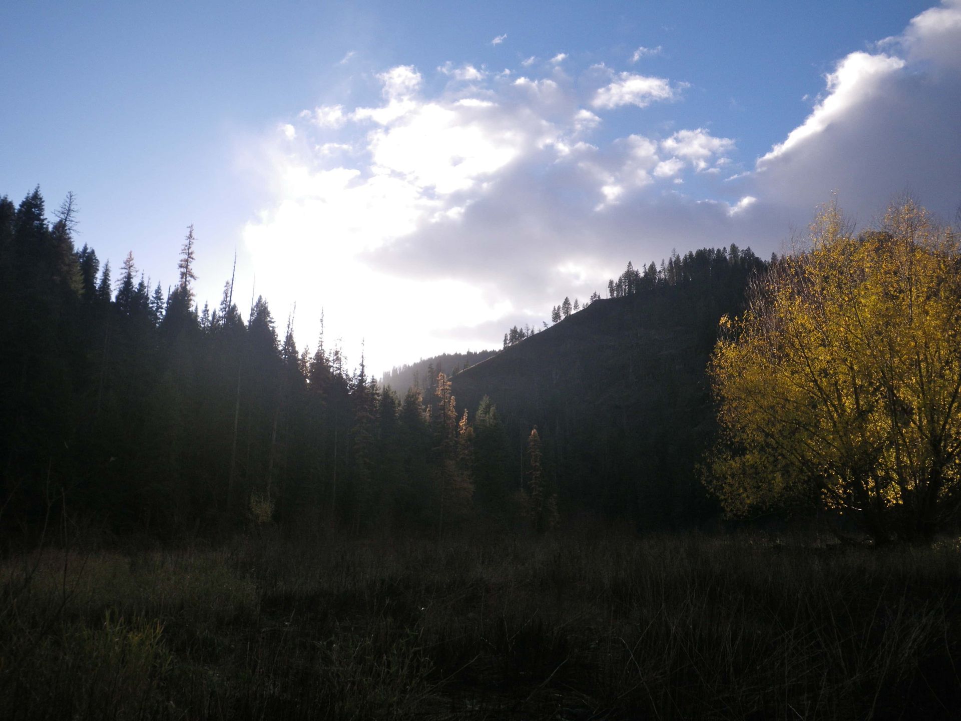The sun is shining through the clouds over a forest