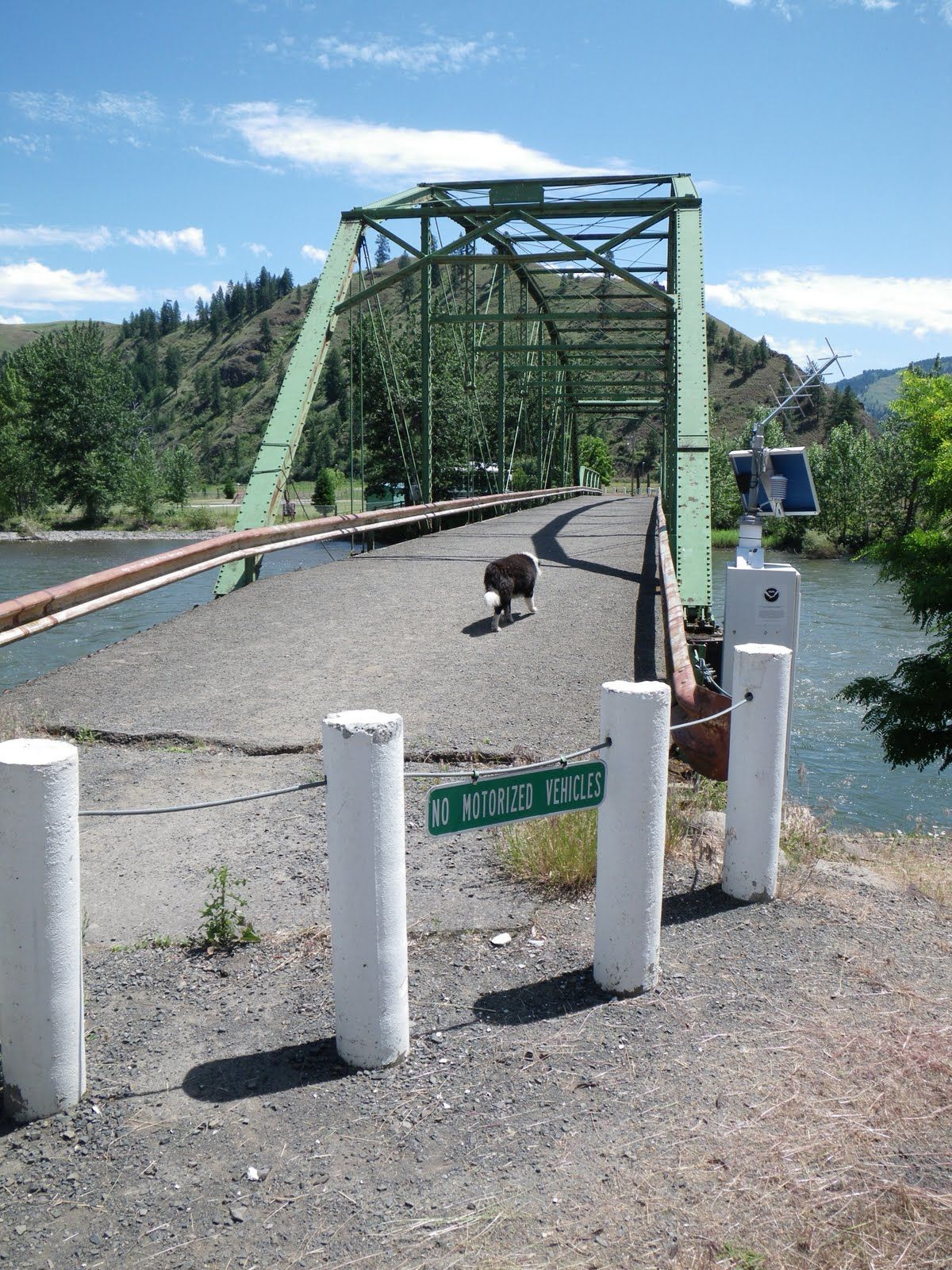 A green bridge over a river with a bear walking on it