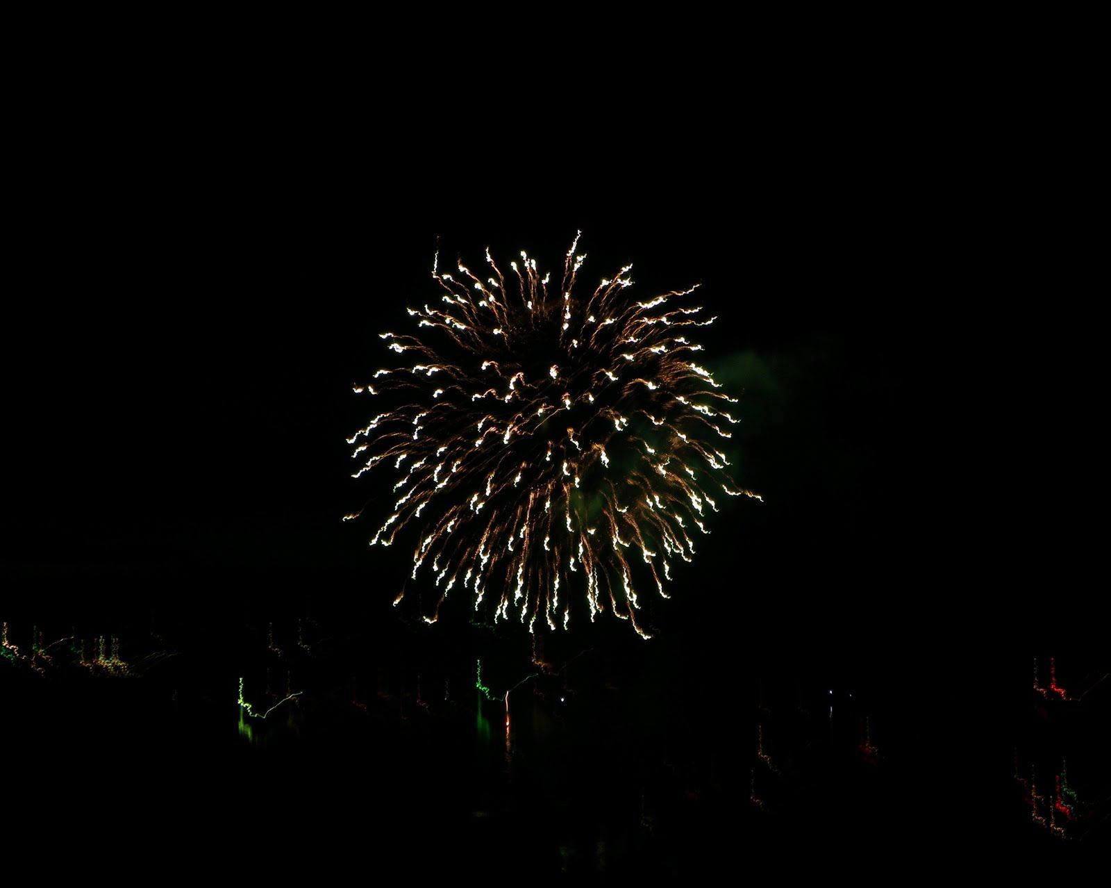 A fireworks display is going off in the night sky.