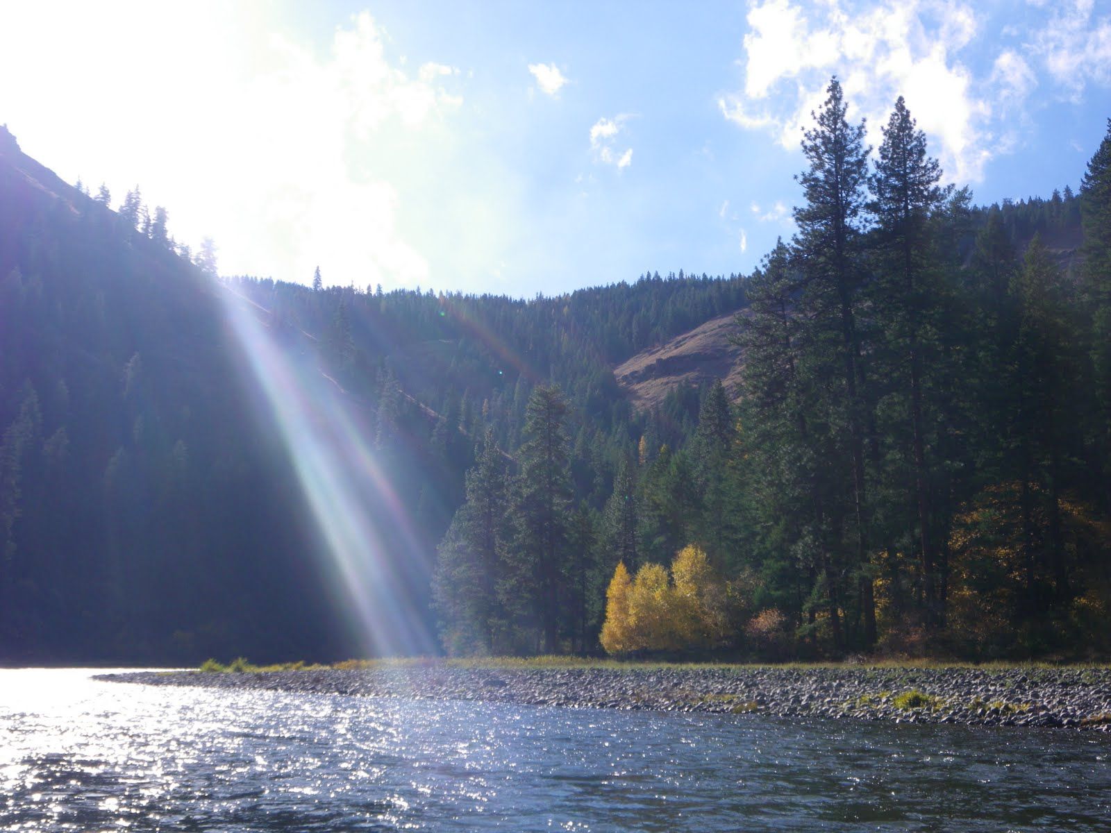 The sun is shining through the trees over a river