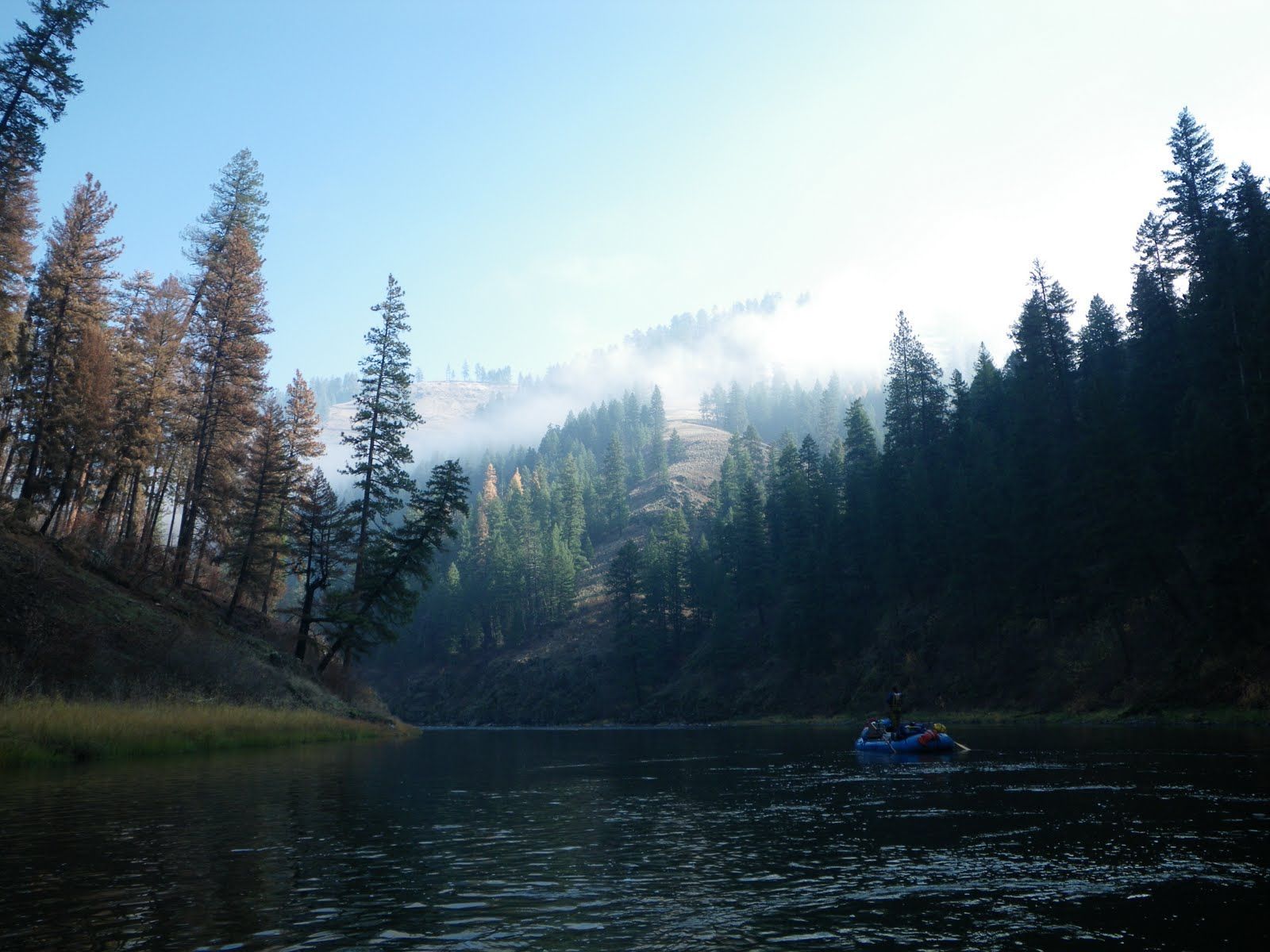 A river surrounded by trees with a mountain in the background