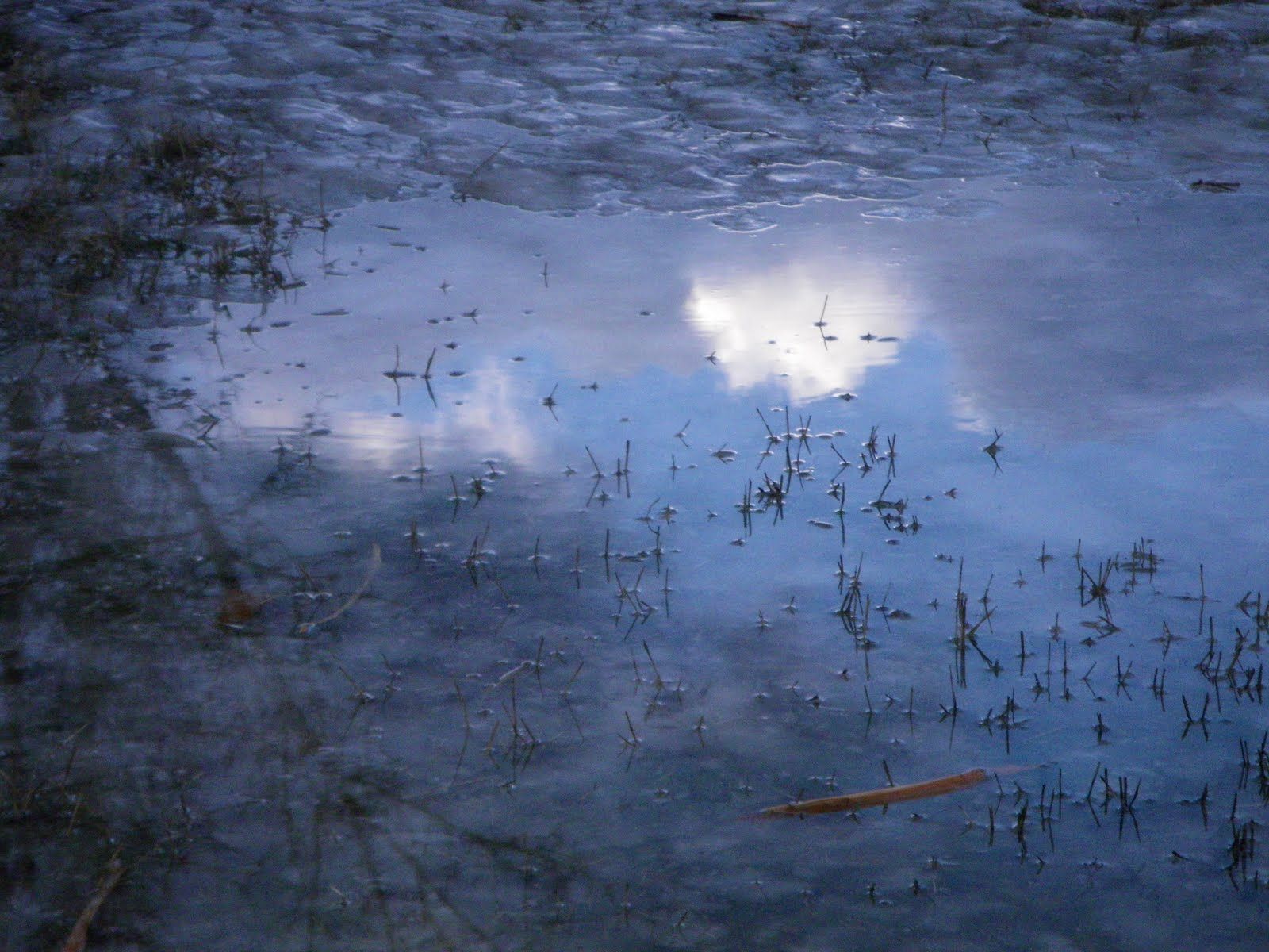 A reflection of a cloud in a puddle of water