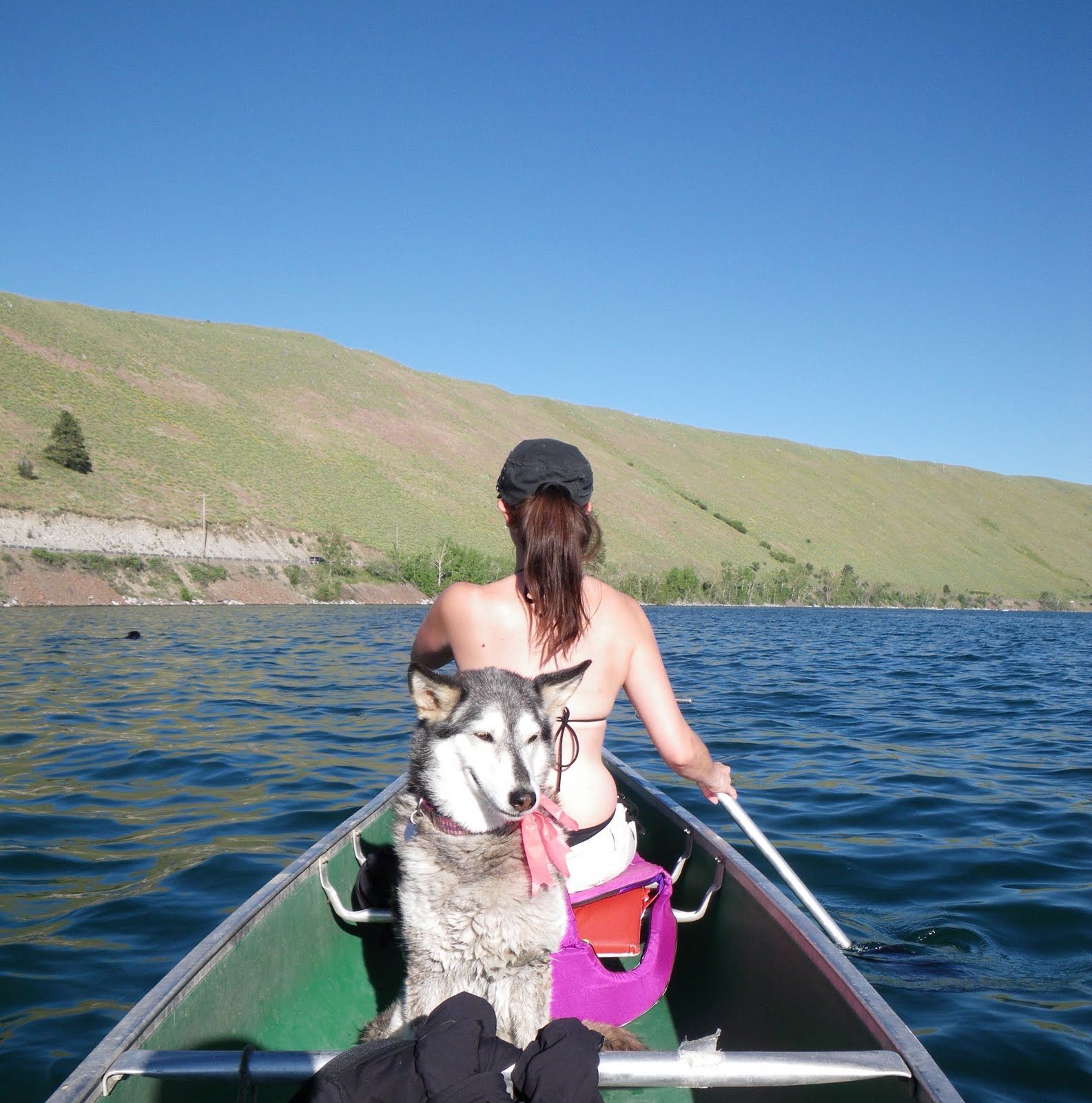 A woman and a dog are in a canoe on a lake