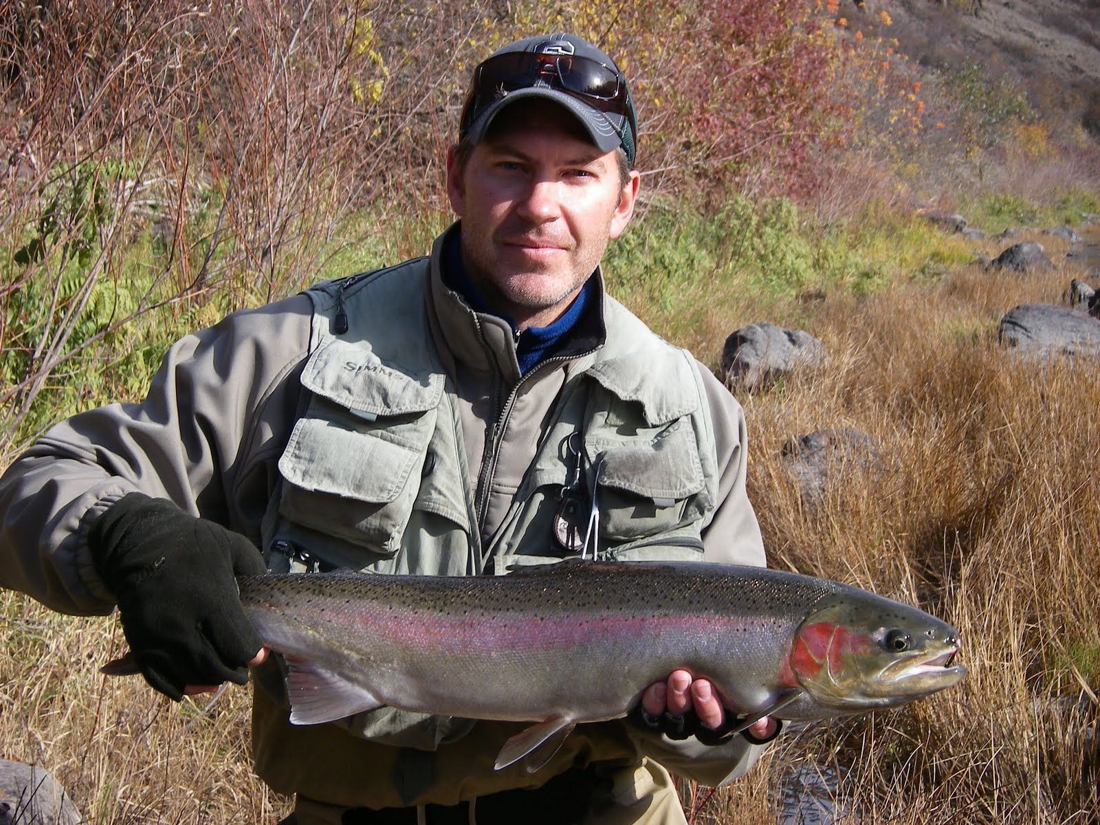 A man is holding a large rainbow trout in his hands