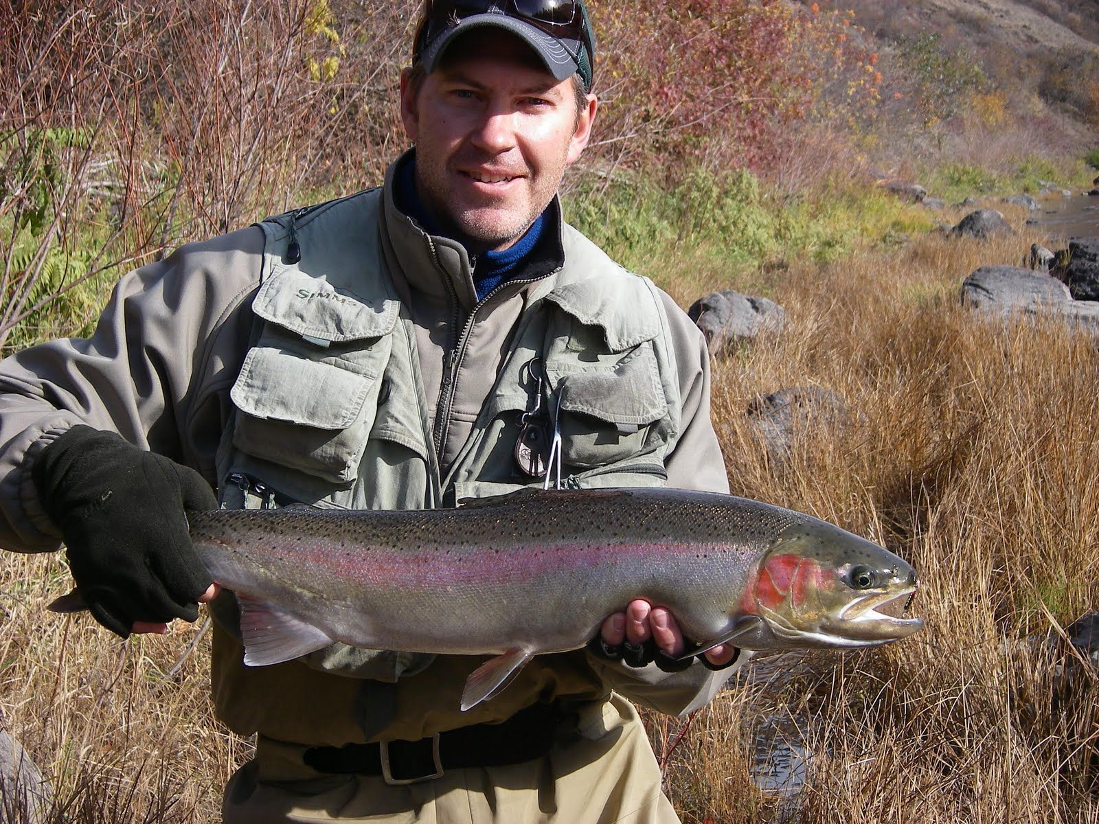 A man is holding a large fish in his hands