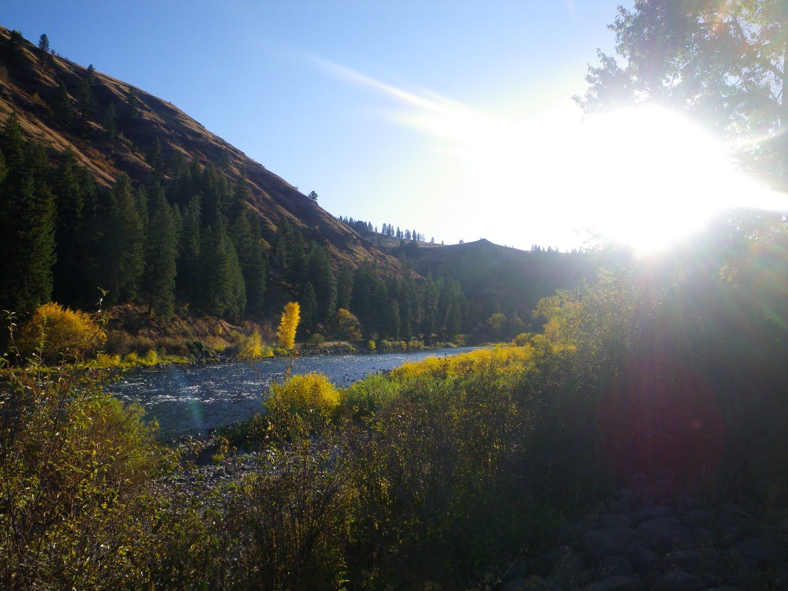 The sun is shining brightly over a river surrounded by trees