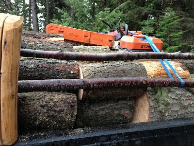 A Chainsaw Is Sitting on Top of A Pile of Logs