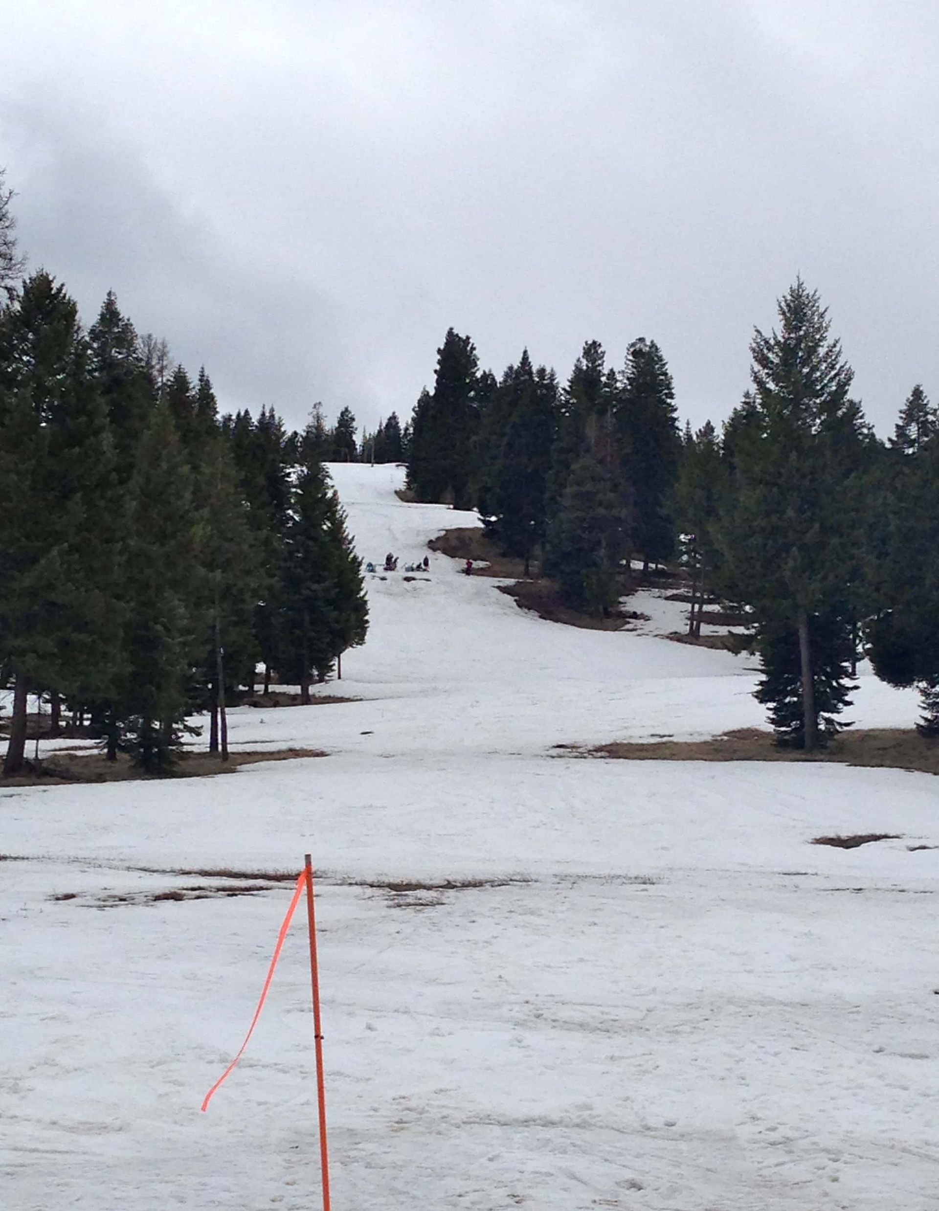 A snowy field with trees in the background and a red pole in the foreground