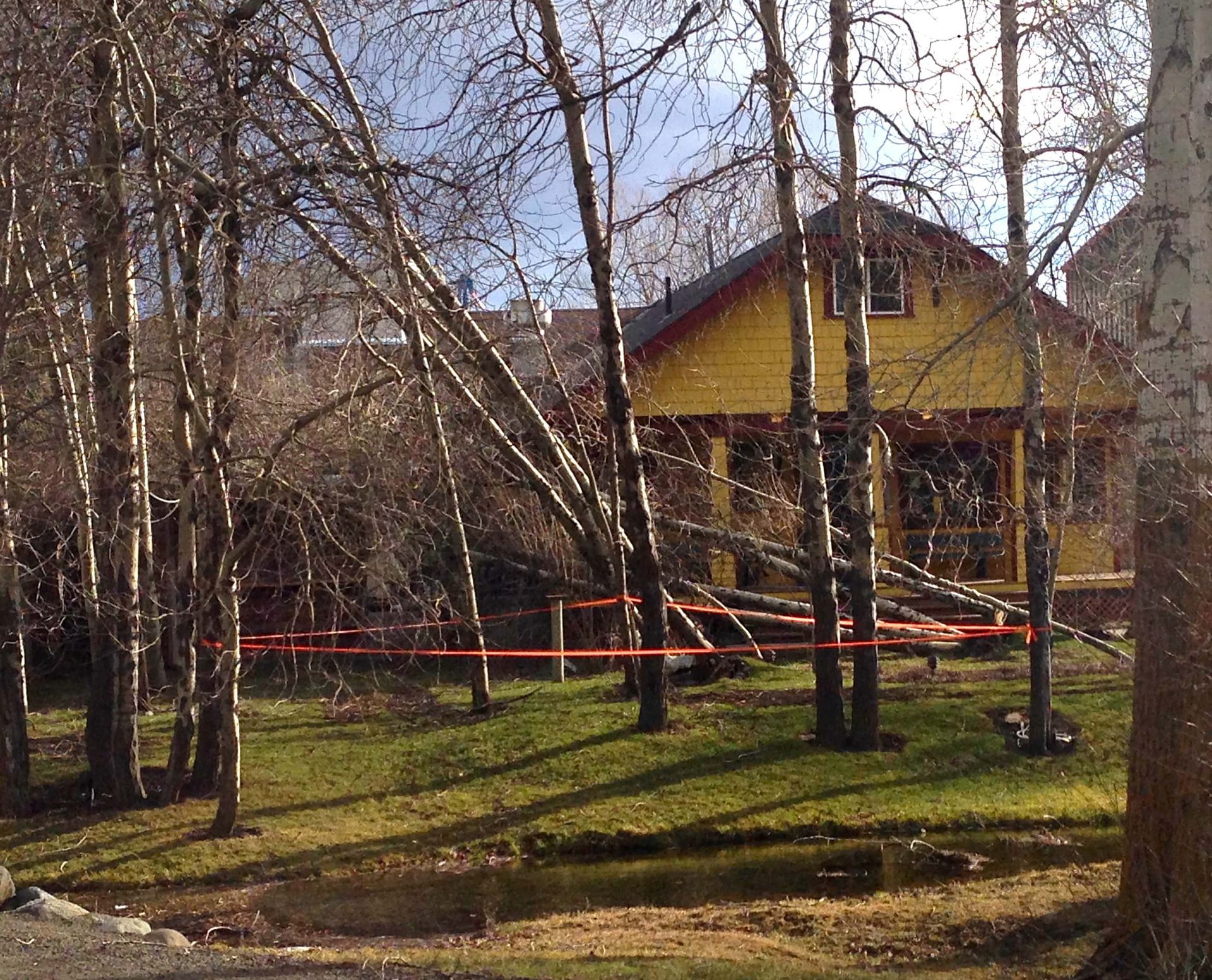 A yellow house is surrounded by trees and a pond