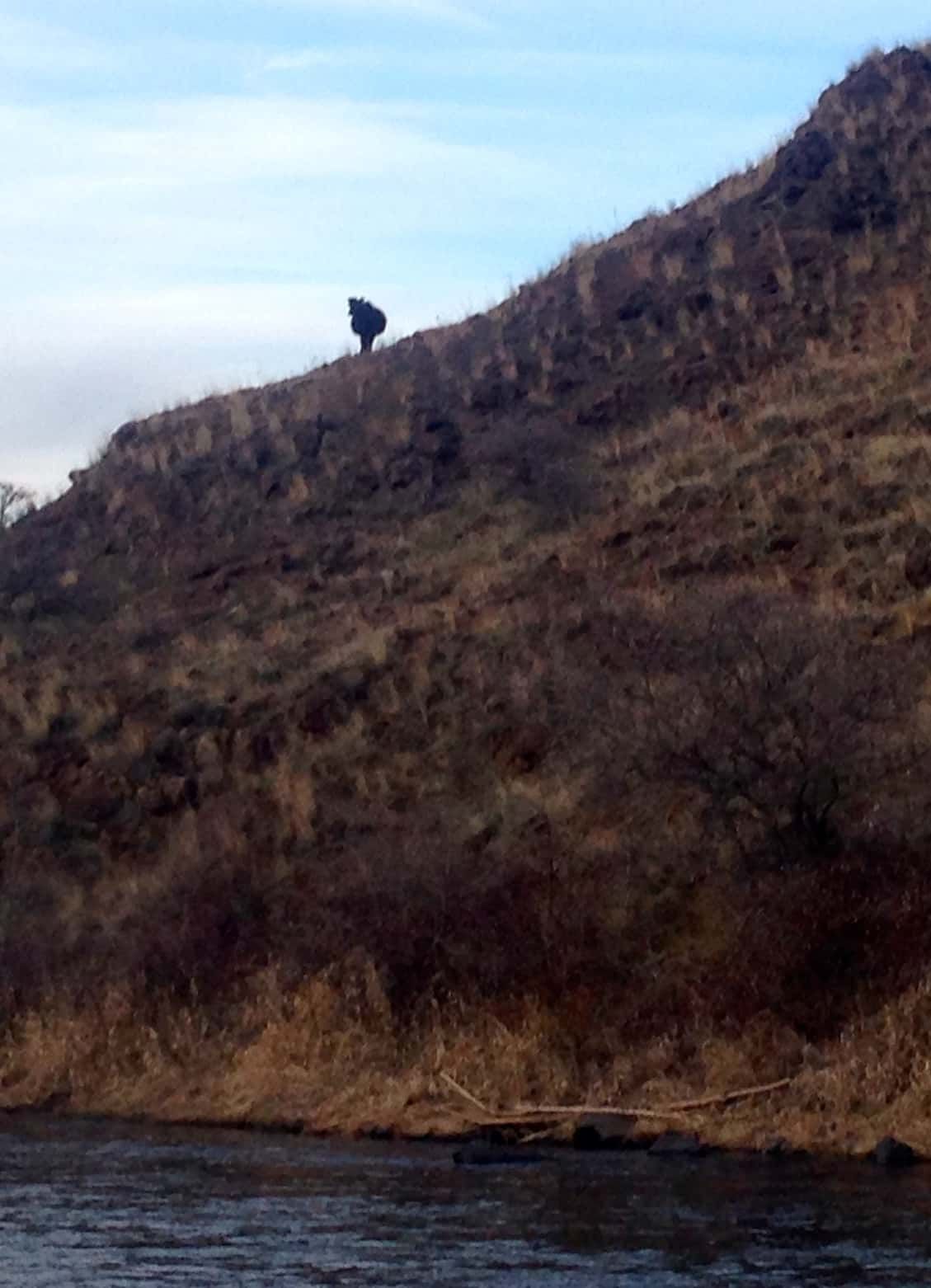 A tree is sitting on top of a hill next to a river.