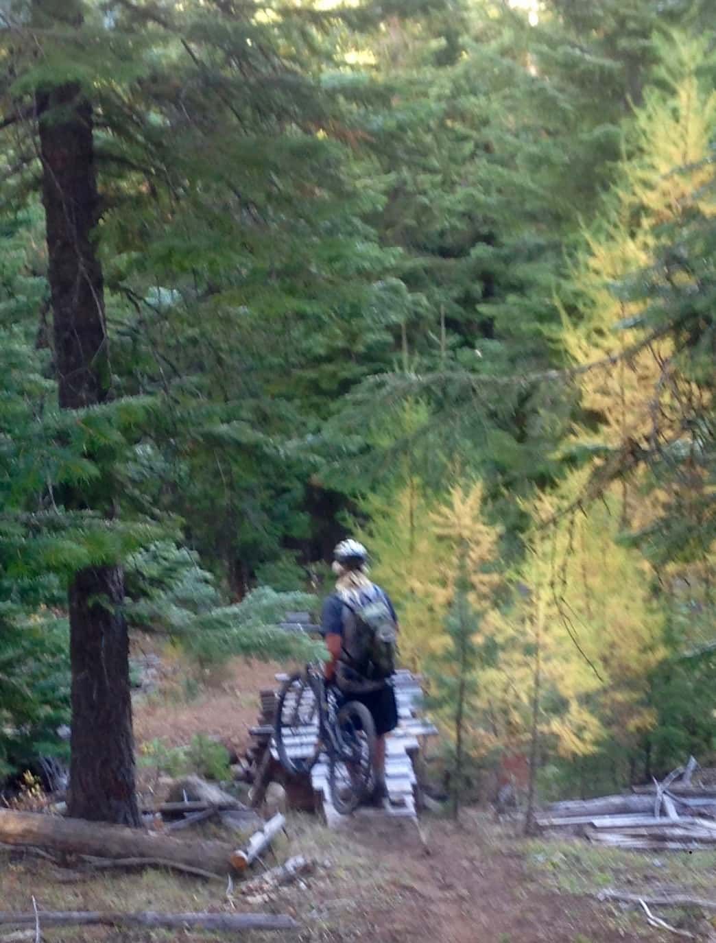 A man is riding a bike in the woods.